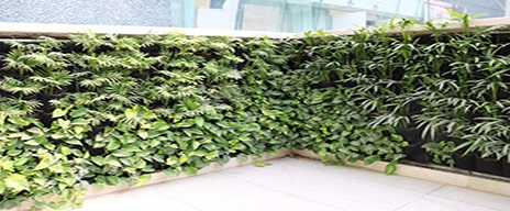 گلدان های گرین وال